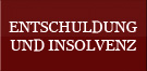 Entschuldung und Insolvenz